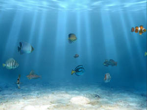 aquarium.jpg